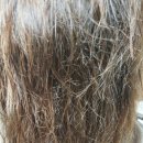 에이치스타일헤어살롱 이미지