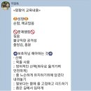 카밍독 이미지