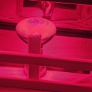 지에스 메디칼 이미지