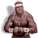 한국 WWE 팬들의 추억 속의 영웅: 헐크 호건과 워리어 - 파트 3 이미지