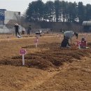 마정농장 이미지