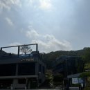 부평 시흥 대형카페 soomok 수목카페 후기 (고양이 진짜귀여움 주의)