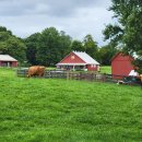 동부농장 이미지