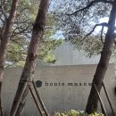 본태박물관 | 제주 서귀포|본태박물관 감상후기|12시 전 입장 티켓