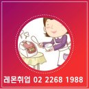 레몬직업소개소 - 서귀포시 | 레몬직업소개소