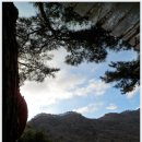 정곡초등학교 이미지