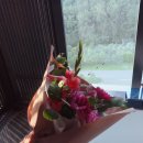 씨유기장시랑리점 | [DomesticTravel]부산힐튼/아난티/이너털저니/볼티노/if cafe