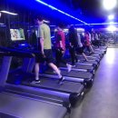 킹덤스포렉스 이미지