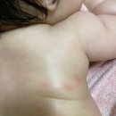 맘마찬수원 | 시판이유식추천_맘마찬