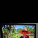 손오공농장 이미지