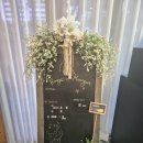 w12. 루즈앤모니끄 본식 드레스 셀렉 후기