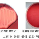 건강식품연구원 이미지