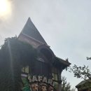 개들의왕국,강릉총포사 | 4세6세 팀에버랜드 주말마다 에버랜드 방문기/CU라면편의점(26.6.14.일)