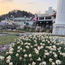 시대는 서커스의 코끼리 타고 | 에버랜드 서커스·불꽃쇼까지 완벽 코스! 하루 꽉 찬 데이트 후기