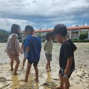 대동초등학교병설유치원 이미지