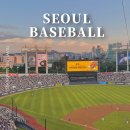 321 | 잠실 야구장 3루 네이비석 321블록 시야 솔직후기 및 먹거리