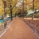 거창-거창-8 이미지