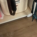 은성문고 | 20화. 다정함은 체력에서 나오는 걸까