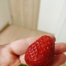 그리핀 농장 이미지