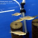 코리아농장 이미지