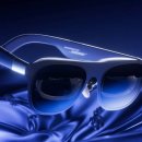 모던펫코리아 이미지