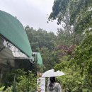 늘푸른숲 | 부산 금정구 바베큐장 늘푸른숲 5번째 방문 후기 / 비오는날 방문 🌧️💧☔️ (예약, 가격)