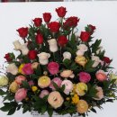 계림꽃농원 이미지