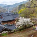 스테이 녹음 이미지