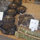 봉평전통시장 이미지