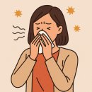 휴베이스복정약국 이미지