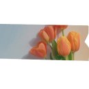 유앤미공인중개사사무소 이미지