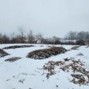 최부자공인중개사사무소 이미지