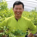 소셜베리