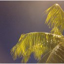 온더비치(on the beach) 이미지