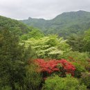 화수정 | 완주 대아수목원길 / 전국 최대규모의 금낭화 자생군락지 / 힐링로드100선(No.81)