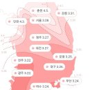 2022년 벚꽃 개화시기 이미지