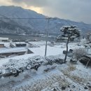 멍멍's | 1석 2조였던 가평애견펜션 멍멍s펜션 후기 ~!