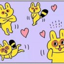 그래도돼지