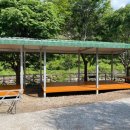 봉강 하조 오토캠핑장 이미지