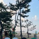 낙산7호넷비치 이미지