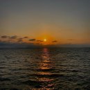 언양한사랑안과의원 | 감정없이 살고 싶다