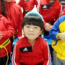 남부태권도장 이미지