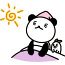 에이스침대안양