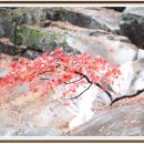 삼화초등학교 이미지