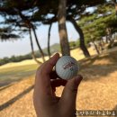 글로벌바람공오 이미지