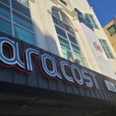 영등동-13 이미지