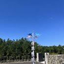 러브랜드미술관(휴관) | 제주도 커플여행 제주 러브랜드 / 제주도립미술관 휴관 정보 (솔직후기,운영시간,가격)