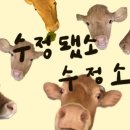 행복수정소 이미지