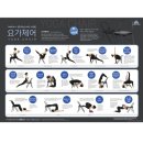 해피요가 이미지