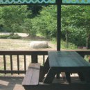 솔바람 들꽃향기 이미지